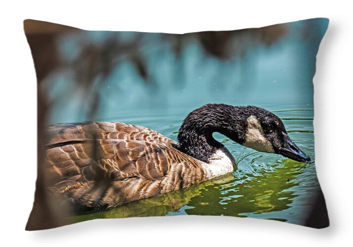 Goose Swimming in Tranquil Lake - Throw Pillow