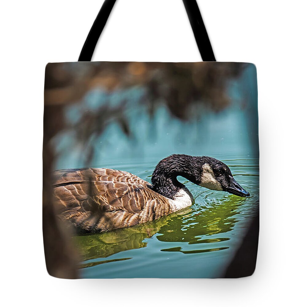 Goose Swimming in Tranquil Lake - Tote Bag