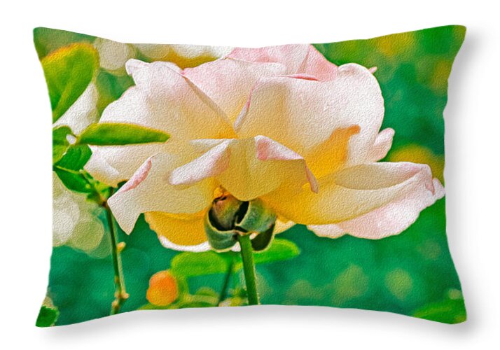 Gorgeous Bright Rose During Spring - Throw Pillow