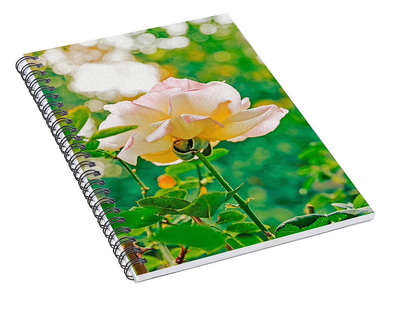 Gorgeous Bright Rose During Spring - Spiral Notebook