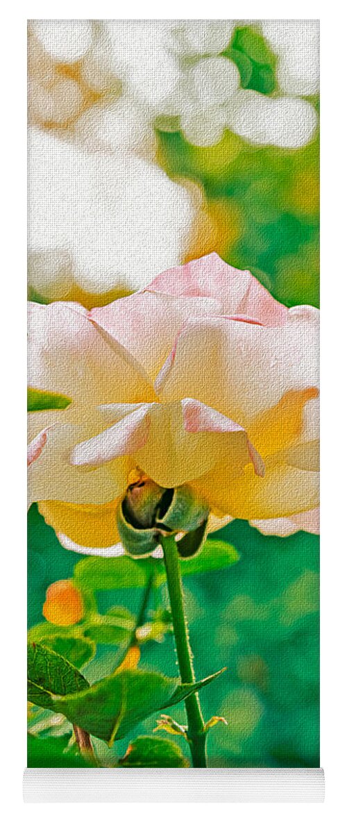 Gorgeous Bright Rose During Spring - Yoga Mat