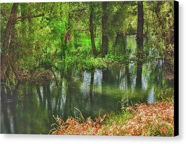 Green Reflections from a River - Canvas Print