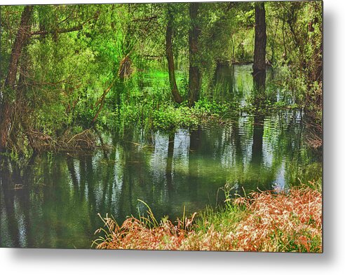 Green Reflections from a River - Metal Print