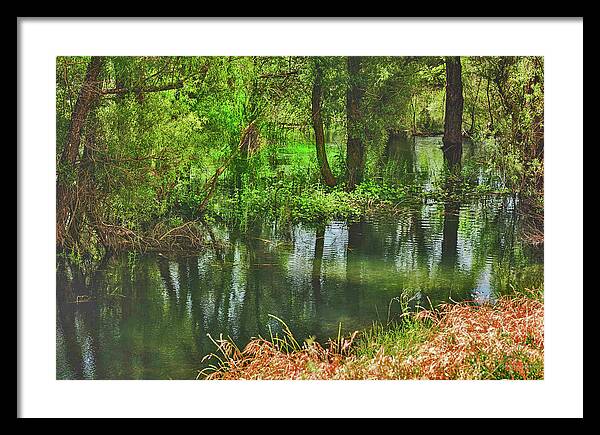 Green Reflections from a River - Framed Print