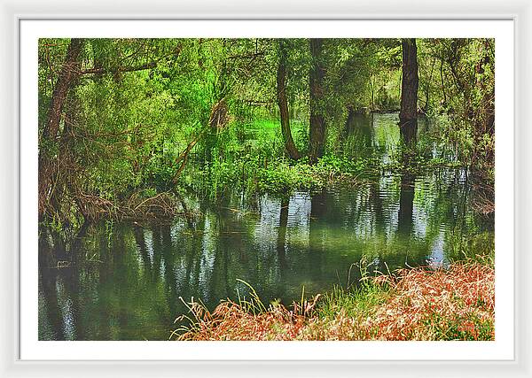 Green Reflections from a River - Framed Print