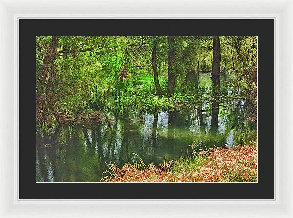 Green Reflections from a River - Framed Print