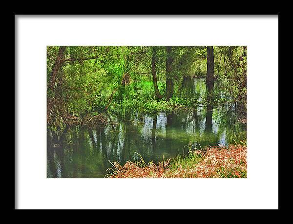 Green Reflections from a River - Framed Print