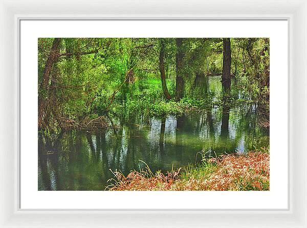 Green Reflections from a River - Framed Print