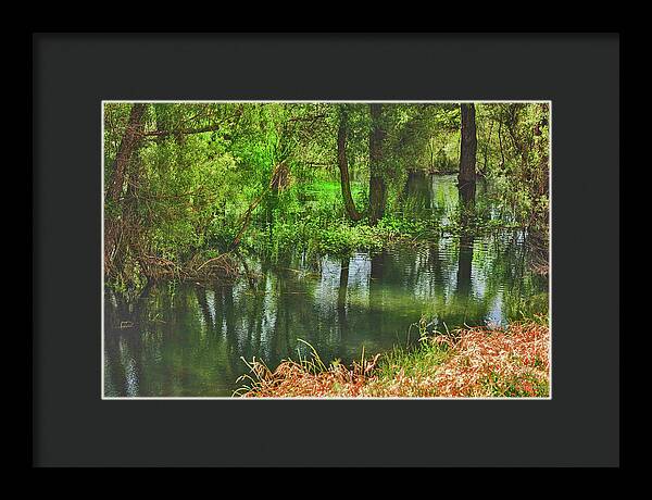 Green Reflections from a River - Framed Print