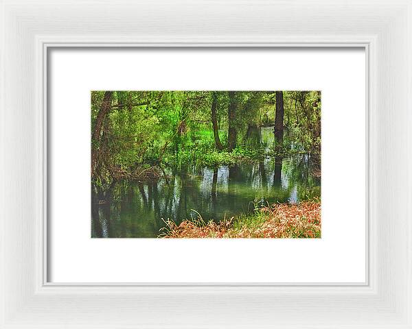 Green Reflections from a River - Framed Print