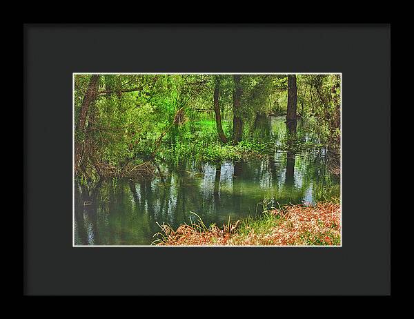 Green Reflections from a River - Framed Print