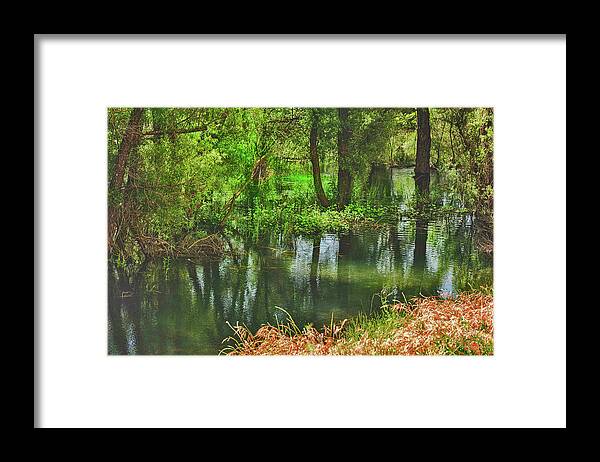 Green Reflections from a River - Framed Print
