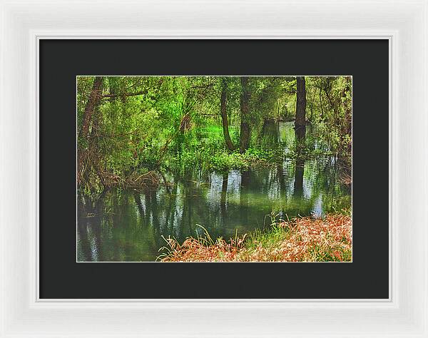 Green Reflections from a River - Framed Print