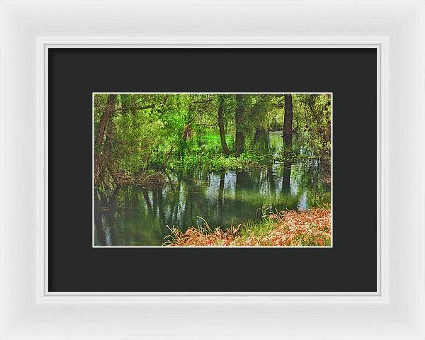 Green Reflections from a River - Framed Print