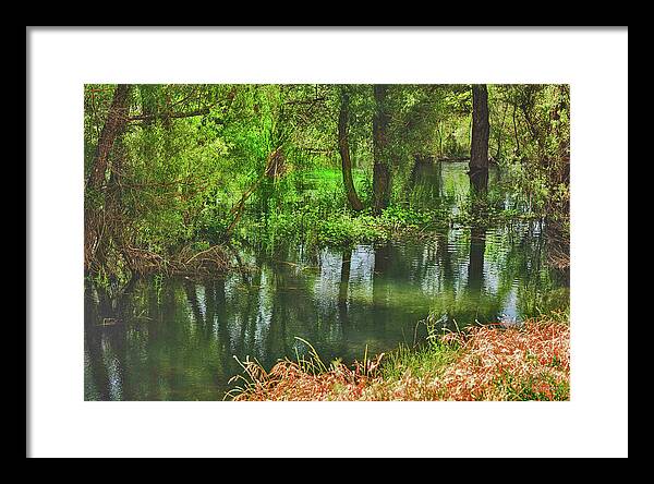 Green Reflections from a River - Framed Print