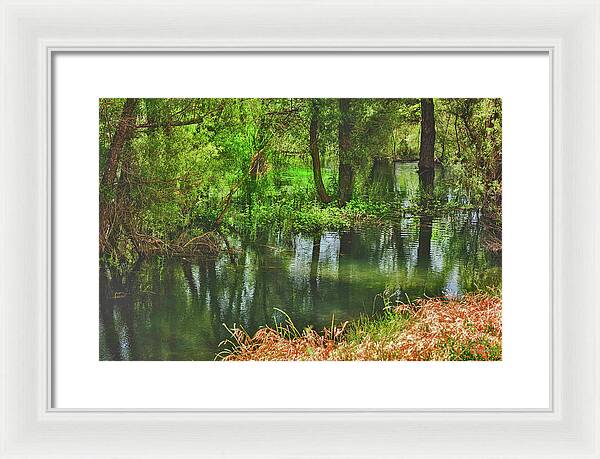Green Reflections from a River - Framed Print
