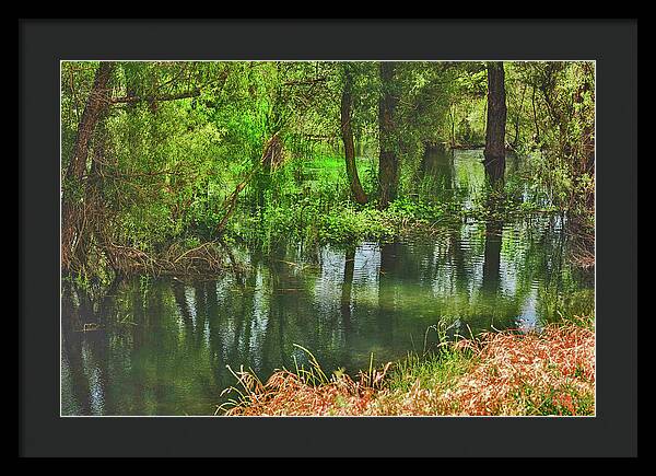 Green Reflections from a River - Framed Print