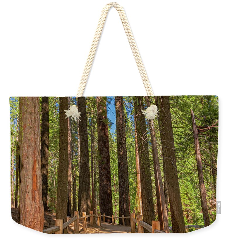 Hiking Trail in Mariposa Grove of Giant Sequoias - Weekender Tote Bag