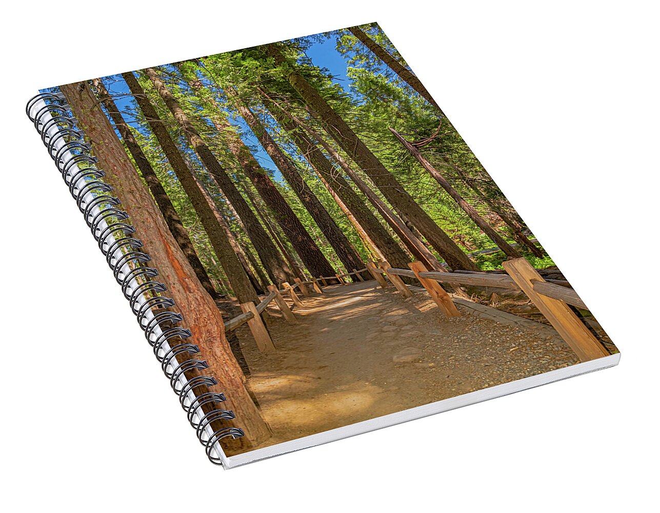 Hiking Trail in Mariposa Grove of Giant Sequoias - Spiral Notebook