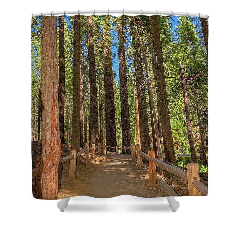 Hiking Trail in Mariposa Grove of Giant Sequoias - Shower Curtain