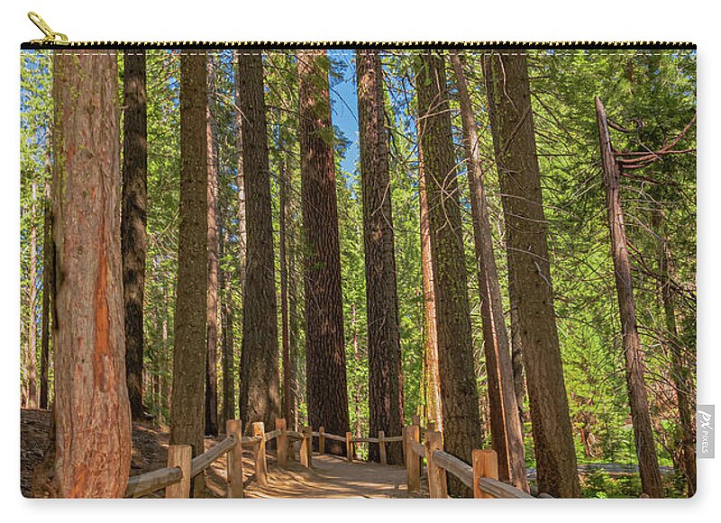 Hiking Trail in Mariposa Grove of Giant Sequoias - Zip Pouch