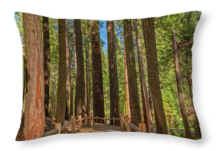 Hiking Trail in Mariposa Grove of Giant Sequoias - Throw Pillow