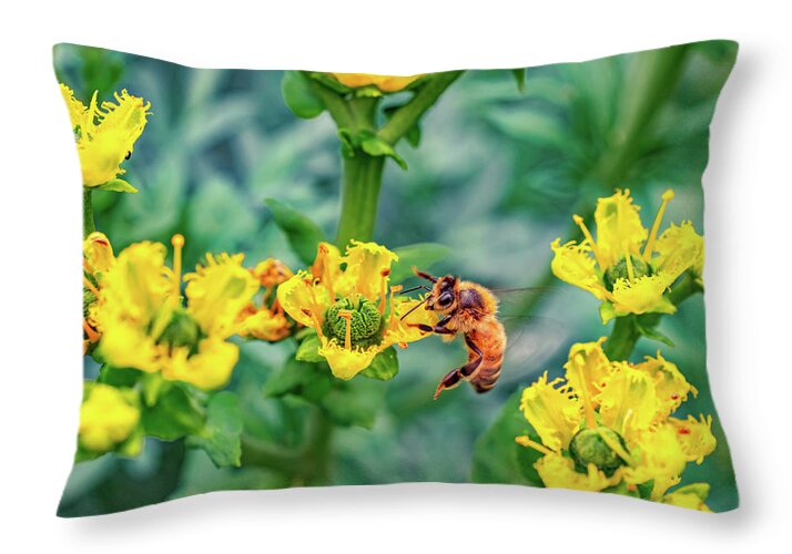 Holding on to Dear Life of a Bee - Throw Pillow