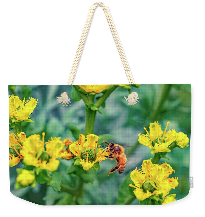 Holding on to Dear Life of a Bee - Weekender Tote Bag