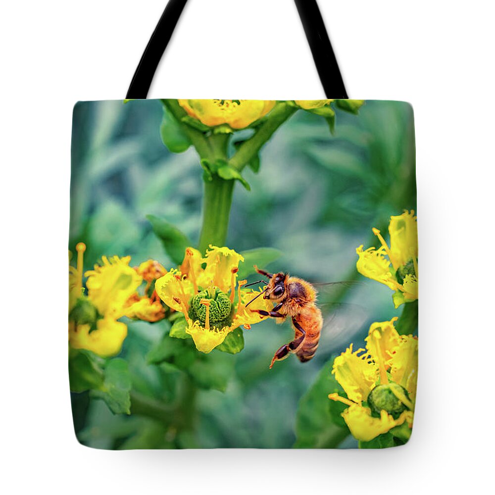 Holding on to Dear Life of a Bee - Tote Bag
