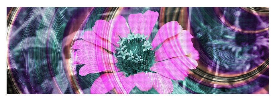 Hot Pink Spirals - Yoga Mat