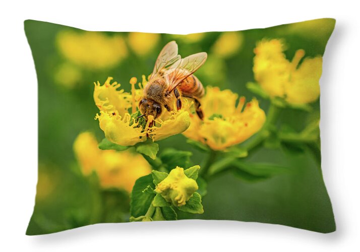Landscape of a bee and yellow flowers - Throw Pillow