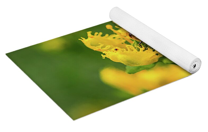 Landscape of a bee and yellow flowers - Yoga Mat