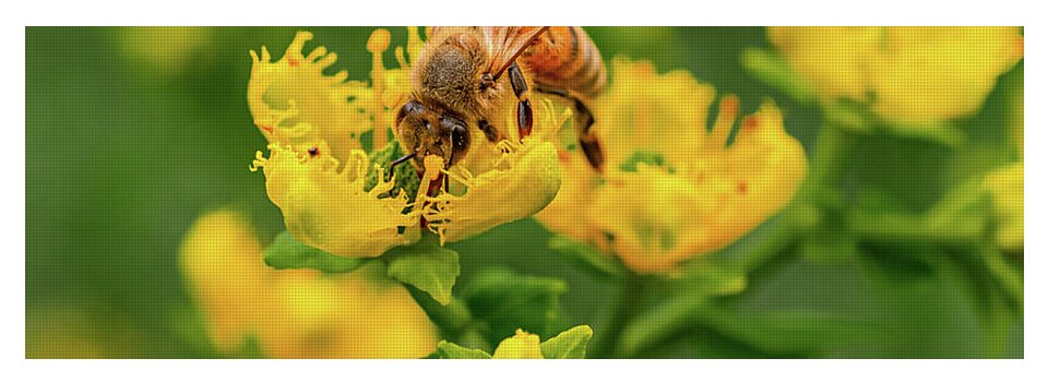 Landscape of a bee and yellow flowers - Yoga Mat