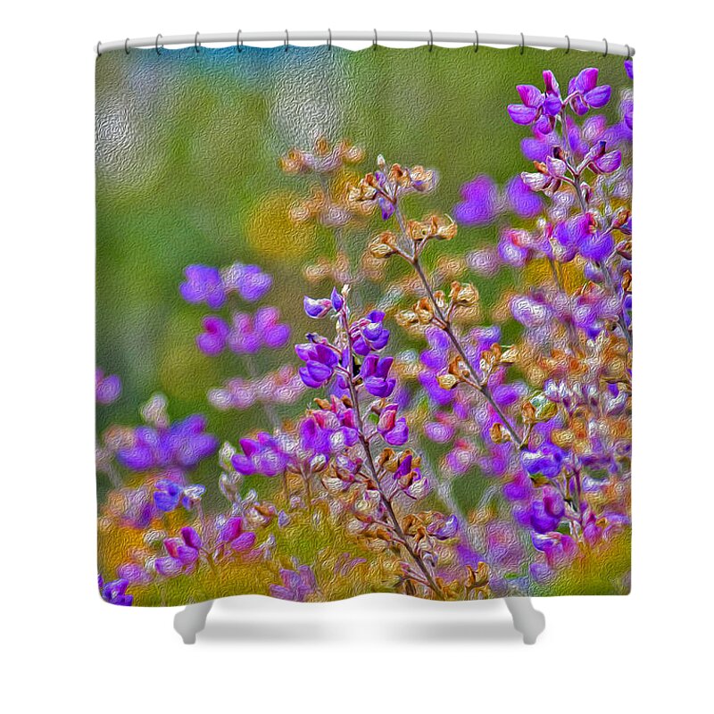 Landscape of Purple Flowers During Spring - Shower Curtain