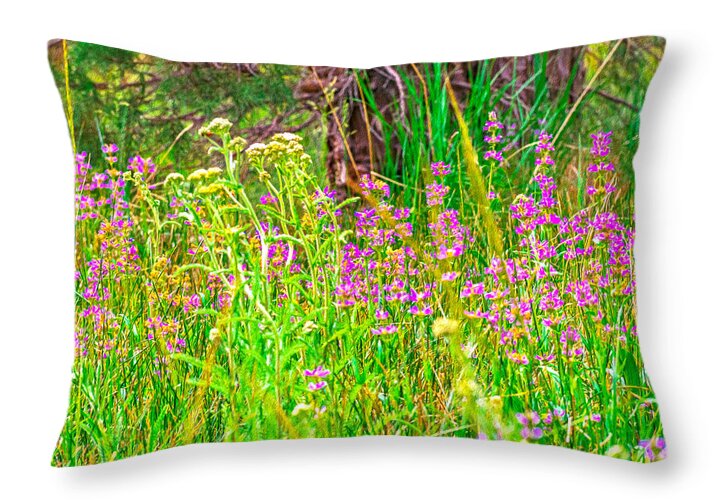Landscape Of Purple Flowers - Throw Pillow