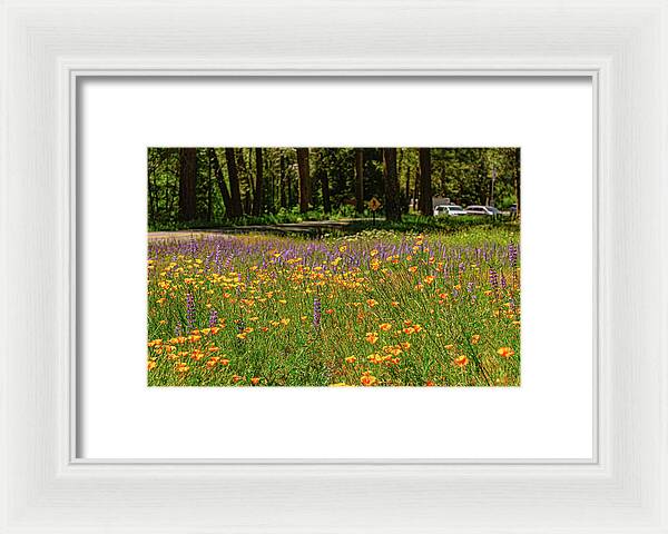 Landscape of Wild Flowers - Framed Print