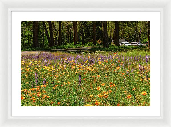 Landscape of Wild Flowers - Framed Print