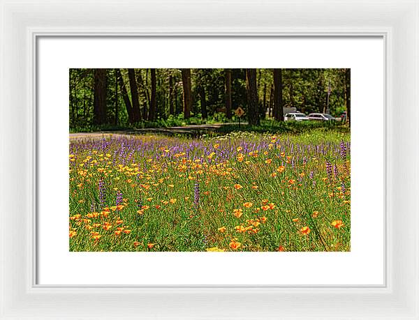 Landscape of Wild Flowers - Framed Print