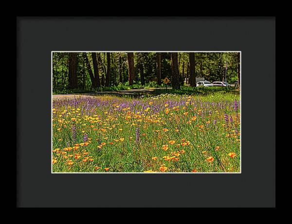 Landscape of Wild Flowers - Framed Print