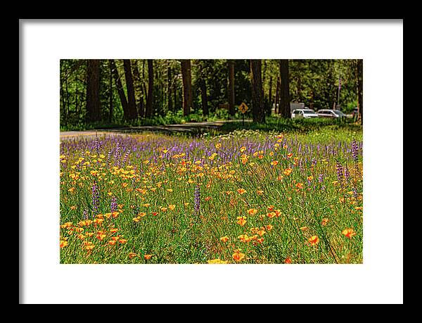 Landscape of Wild Flowers - Framed Print
