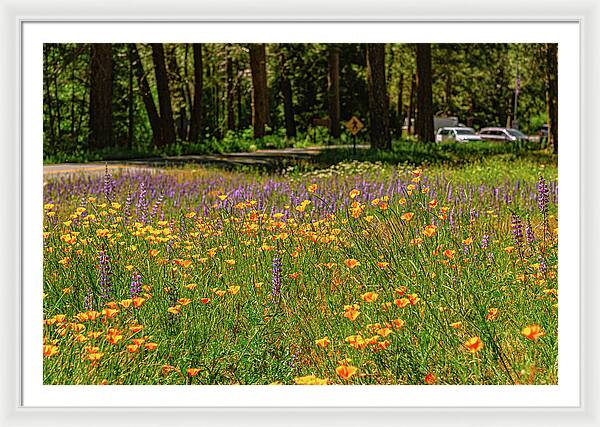 Landscape of Wild Flowers - Framed Print