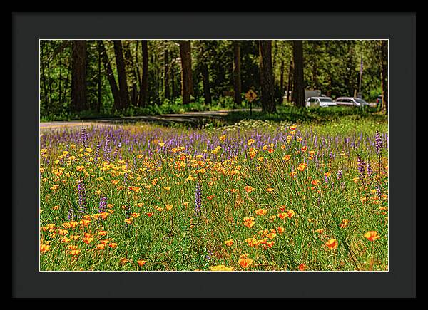 Landscape of Wild Flowers - Framed Print