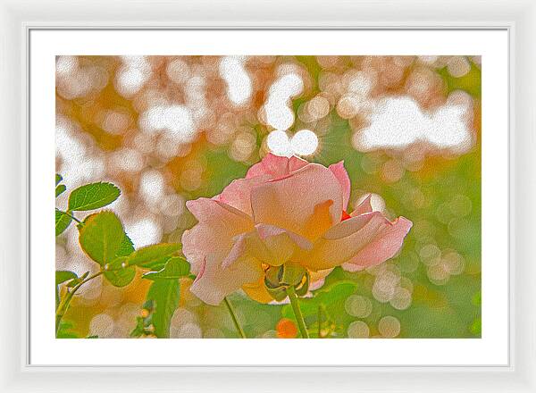 Light Pink Rose and Orbs - Framed Print