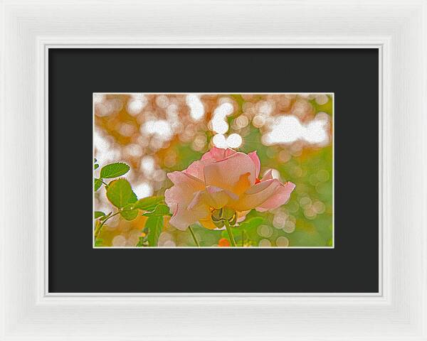 Light Pink Rose and Orbs - Framed Print