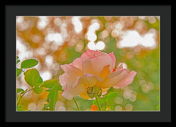 Light Pink Rose and Orbs - Framed Print