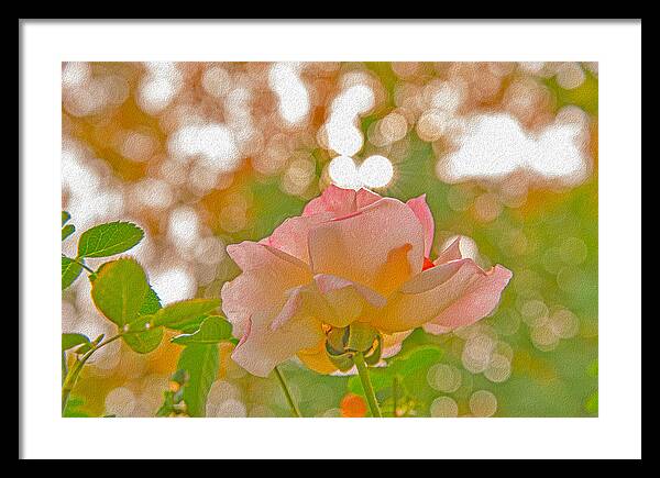 Light Pink Rose and Orbs - Framed Print