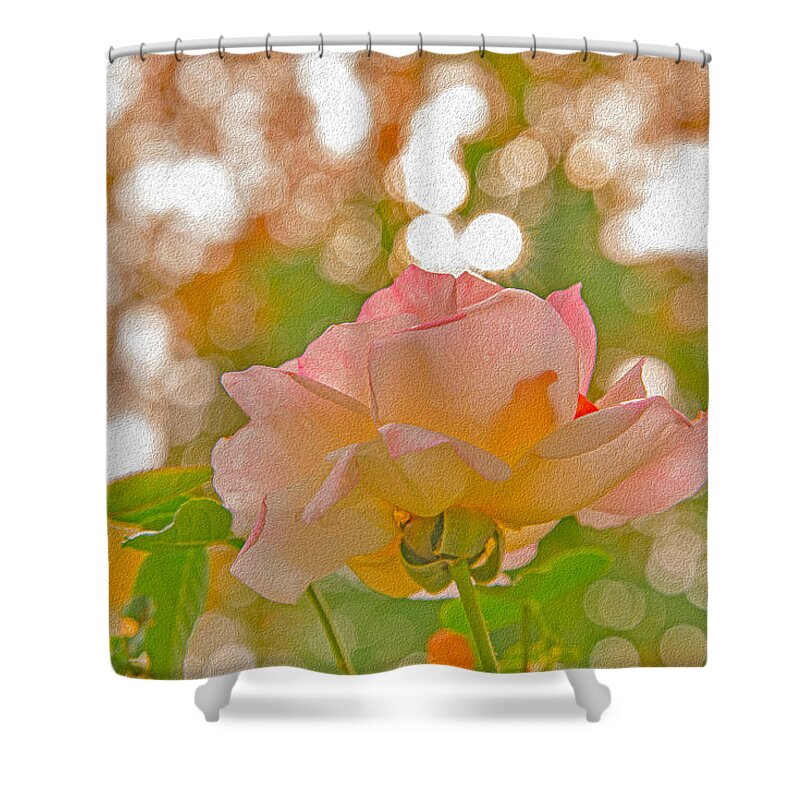 Light Pink Rose and Orbs - Shower Curtain