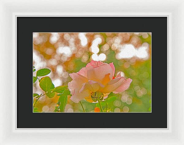 Light Pink Rose and Orbs - Framed Print