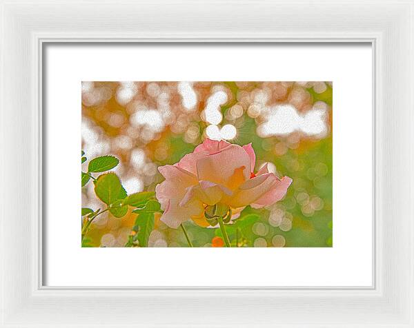 Light Pink Rose and Orbs - Framed Print
