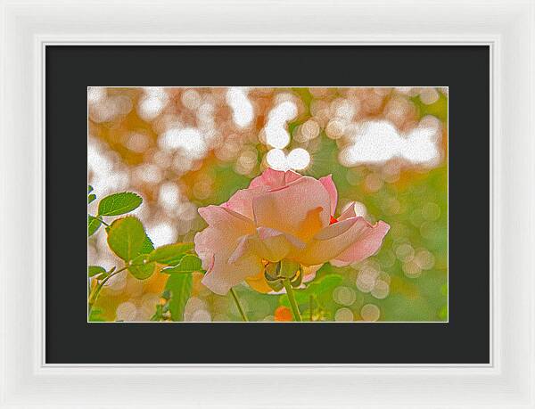 Light Pink Rose and Orbs - Framed Print